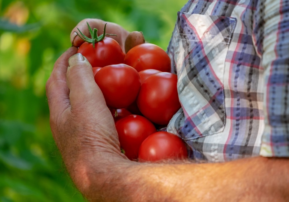 España, Francia, Italia y Portugal impulsarán las cláusulas espejo para asegurar la competitividad hortofrutícola