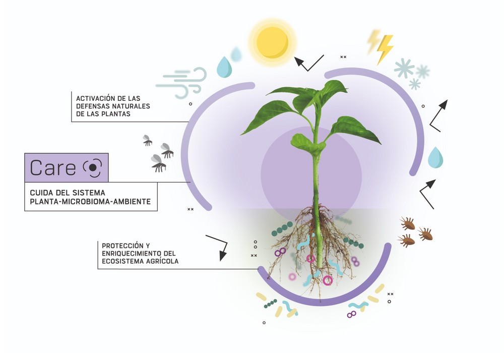 Neoforce® Soil aumenta la rentabilidad de los cultivos hortícolas