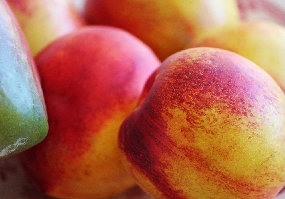 El Ministerio de Agricultura, Pesca y Alimentación abona 2,14 millones de euros de ayuda extraordinaria a 1.674 nuevos agricultores de frutales y frutos de cáscara