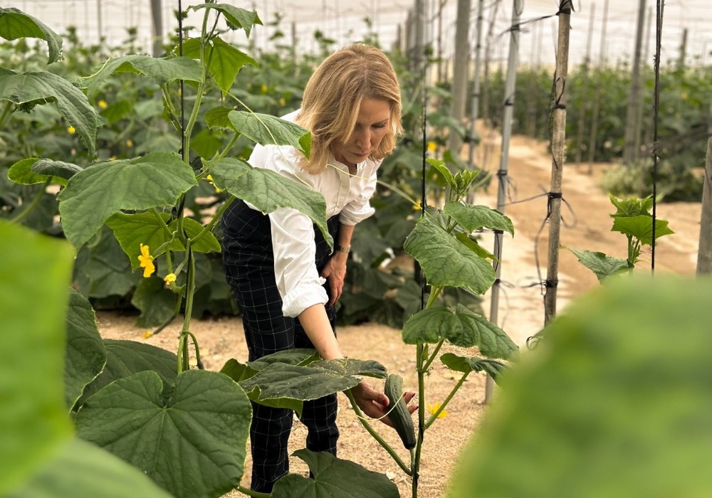 Los jóvenes agricultores de la provincia ya pueden solicitar las ayudas de la Junta por valor de 130 millones