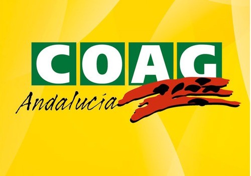 COAG Andalucía afirma que no hay un minuto que perder  para evitar un desastre como el de Valencia