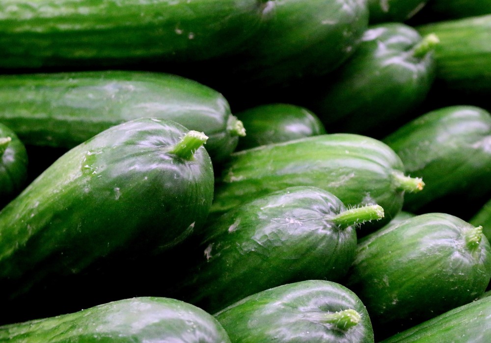  Cooperativas Agro-alimentarias de Andalucía denuncia el abuso de algunas cadenas de distribución con su política de precios en pepino