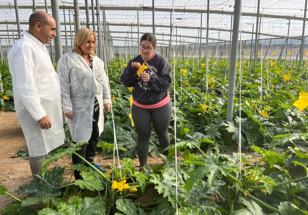 La Junta favorece el relevo generacional en el campo andaluz con 130 millones para jóvenes agricultores