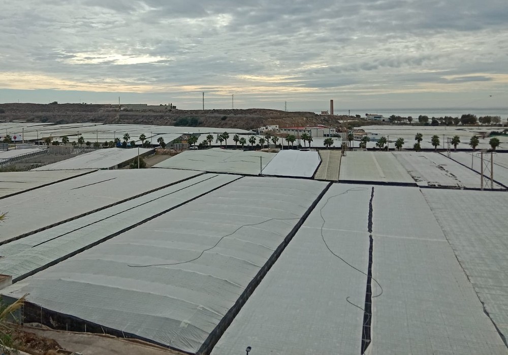 COAG Almería consigue eliminar el cómputo del IVA de la producción en el sistema de módulos