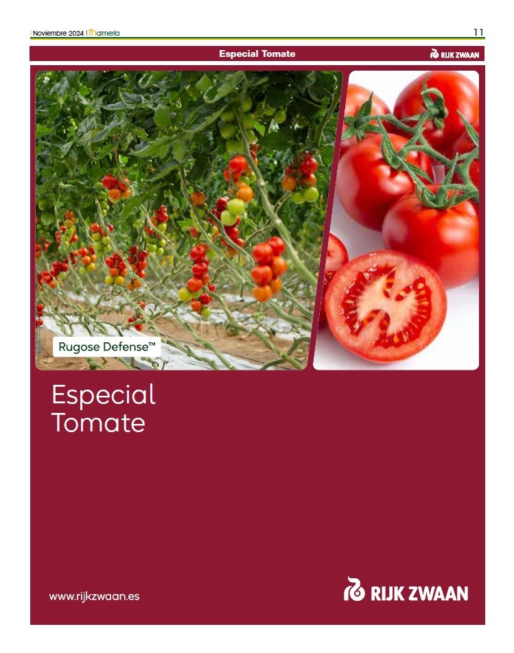 Especial tomate de primavera de Rijk Zwaan