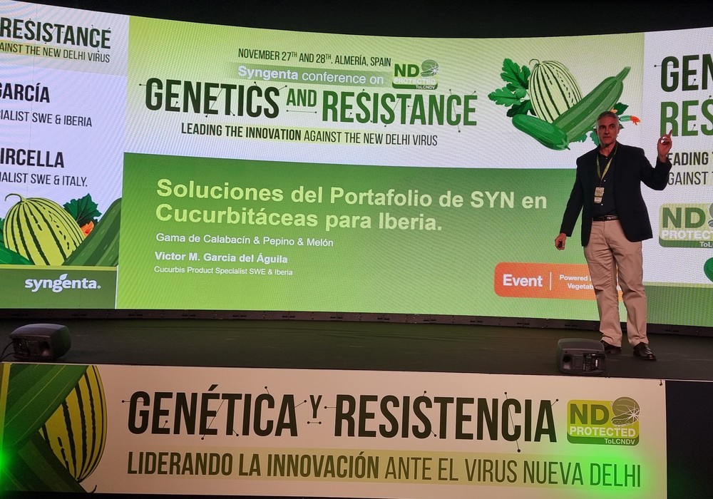Syngenta lidera la resistencia frente al virus de Nueva Delhi