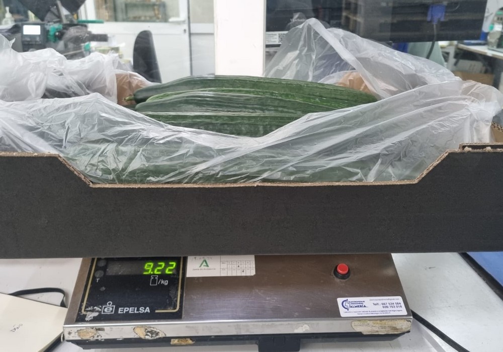 HORTYFRUTA desactiva la extensión de norma para el pepino