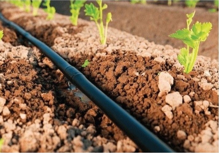  El Ministerio de Agricultura, Pesca y Alimentación y Seiasa firman la cuarta adenda al convenio para la modernización de regadío por valor de 65’7 millones de euros