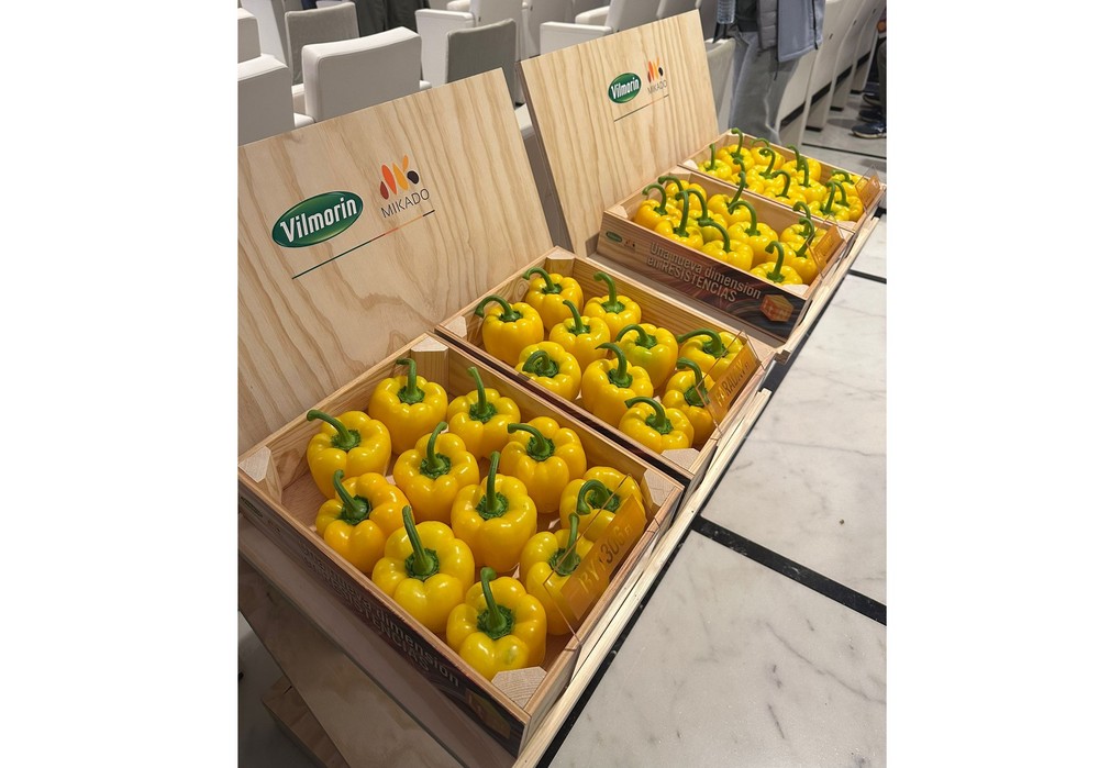 Vilmorin-Mikado celebra su I Seminario del Pimiento