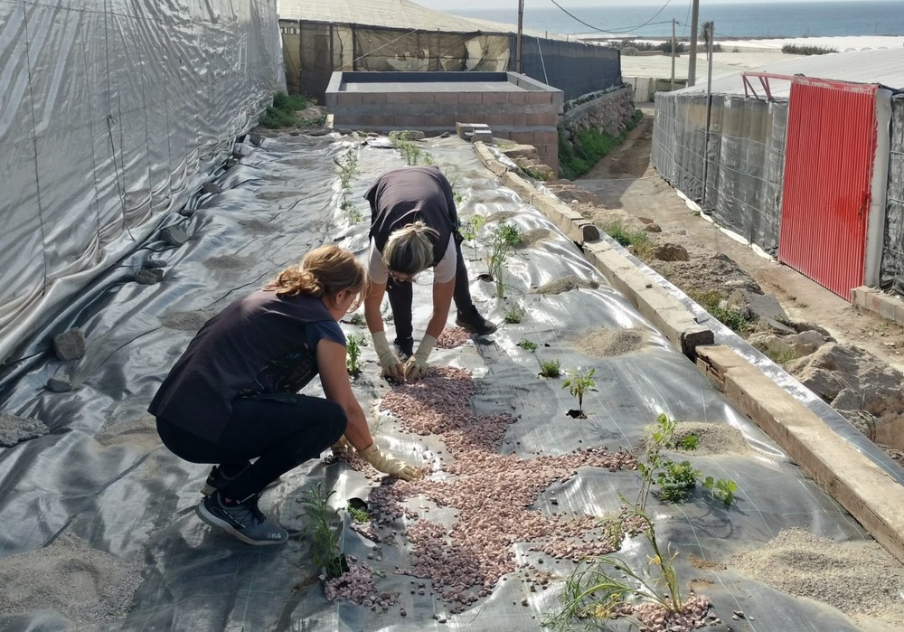 El CIT COEXPHAL acoge la primera reunión de Horticultura Viva, un proyecto sobre el control biológico de plagas