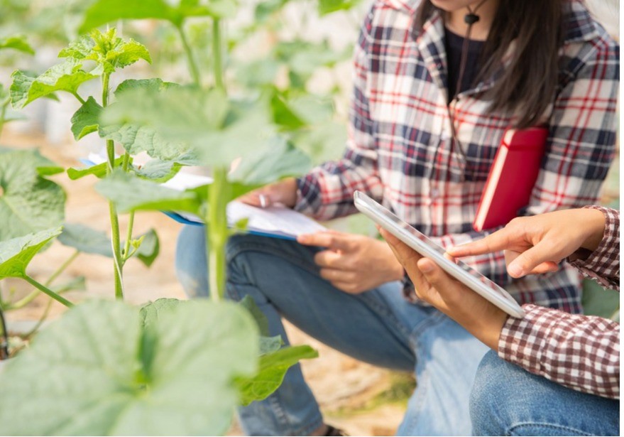 El Ministerio de Agricultura, Pesca y Alimentación concede casi 40 millones de euros para fomentar la integración de cooperativas agroalimentarias