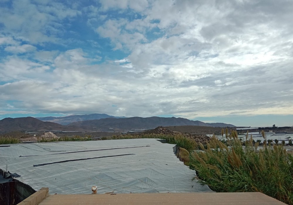Importaciones masivas, sequía, crisis de precios y la DANA marcan el latido agrario de la provincia