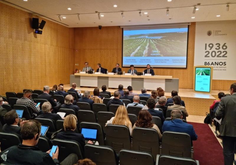 Productores de frutas y hortalizas de Francia, Italia, Portugal y España comienzan los grupos de contacto del Comité Mixto de 2025
