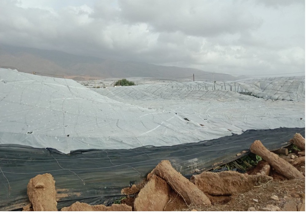 Abierto el plazo para solicitar las ayudas por 53,1 millones de euros de la línea ICO-MAPA-SAECA para explotaciones agrarias afectadas por la dana