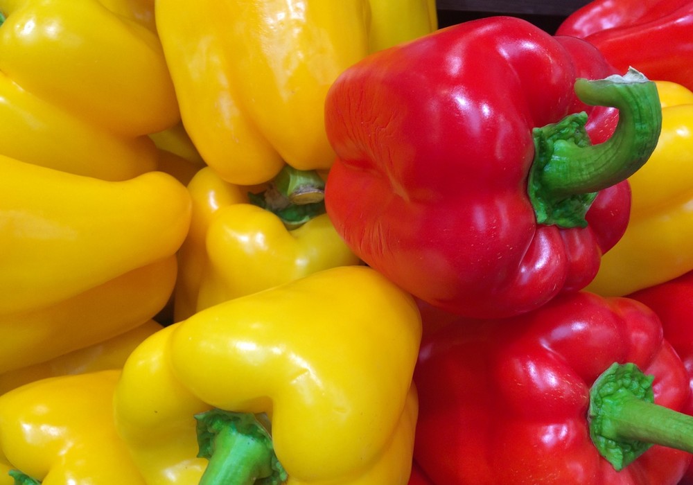 COEXPHAL trabaja por reabrir la exportación de pimiento a EEUU tras su inesperado cierre