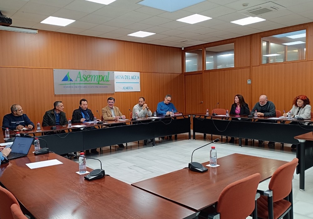 La Mesa del Agua de Almería hace balance de 2024 y fija sus objetivos para este año 2025