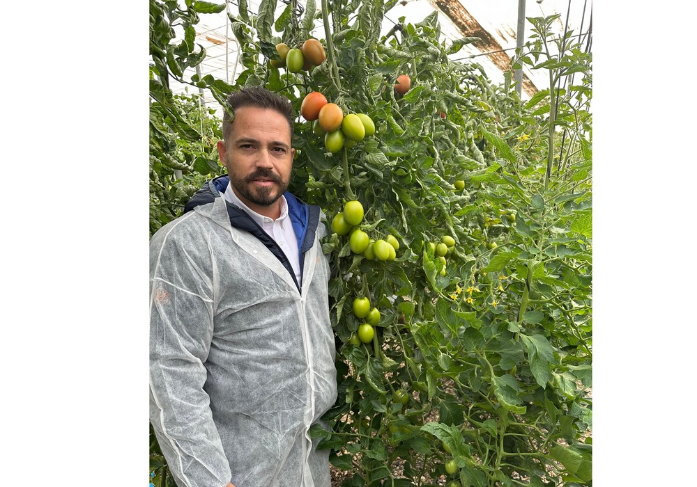 Renora, el pera resistente a rugoso ideal para exportación de Hazera España