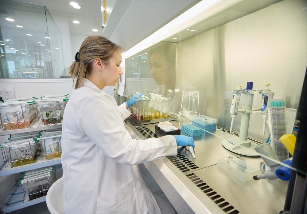 Control de Listeria monocytogenes en la industria alimentaria: estrategias clave para garantizar la inocuidad de los alimentos