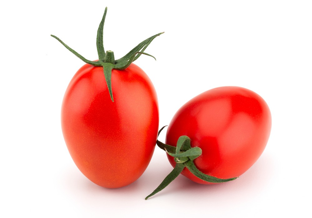 CapGen Seeds impulsa la comercialización con una apuesta por el tomate pera de calidad