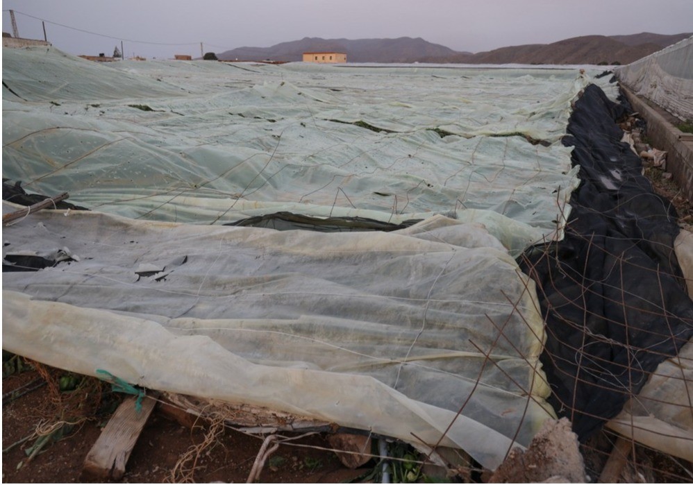 El Ministerio de Agricultura, Pesca y Alimentación realiza un nuevo pago a 1.136 agricultores y ganaderos afectados por la dana que eleva a 60,3 millones de euros el importe de ayudas abonado