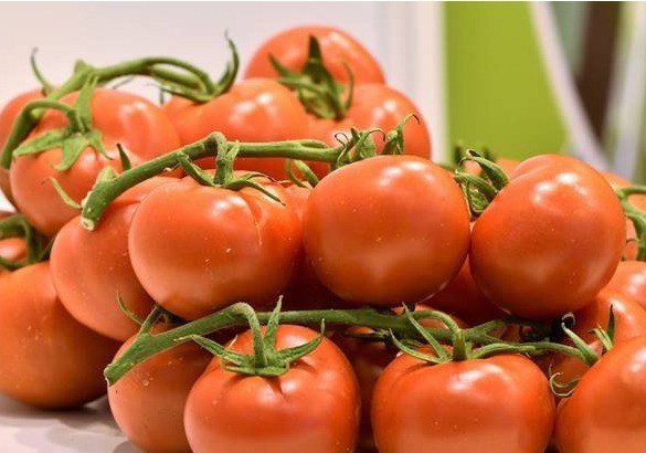 La comercialización se vuelca con Infoagro Exhibition