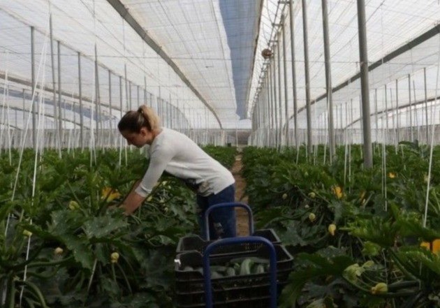 El Ministerio de Agricultura, Pesca y Alimentación organiza un encuentro con mujeres rurales el próximo 5 de marzo
