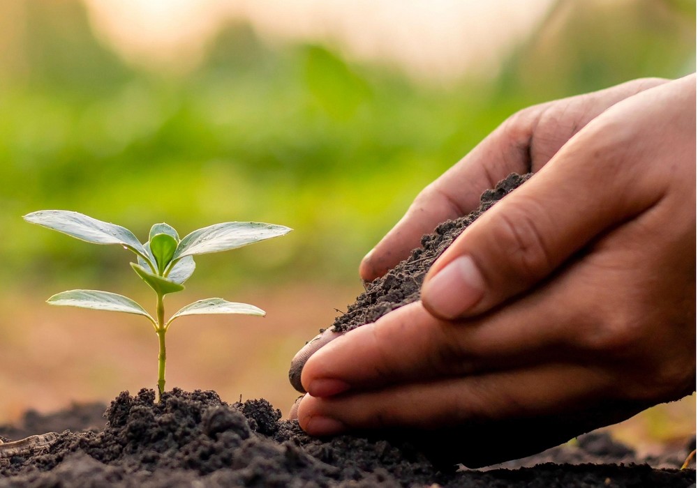 La agricultura europea prevé avances esta semana en materia de NTG
