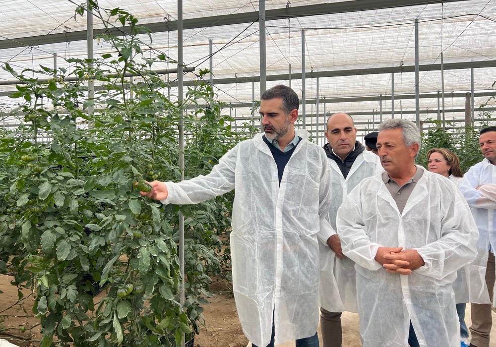 Andalucía exporta “innovación, calidad y un sabor inigualable” con los tomates que salen de Almería