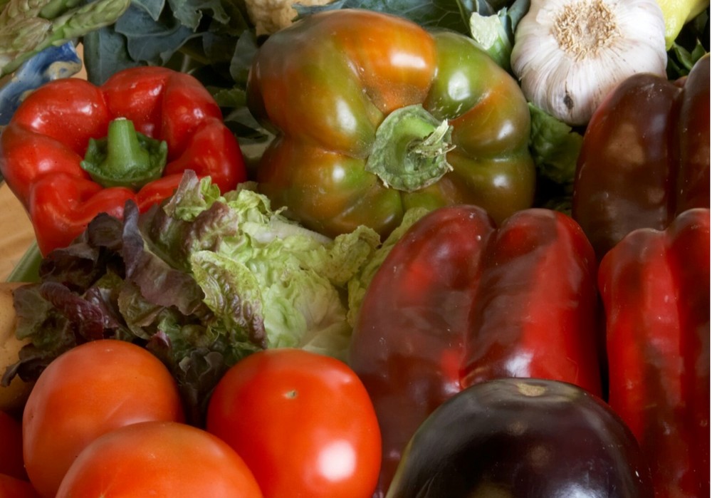 Frutas y hortalizas lideran las exportaciones andaluzas en enero de 2025