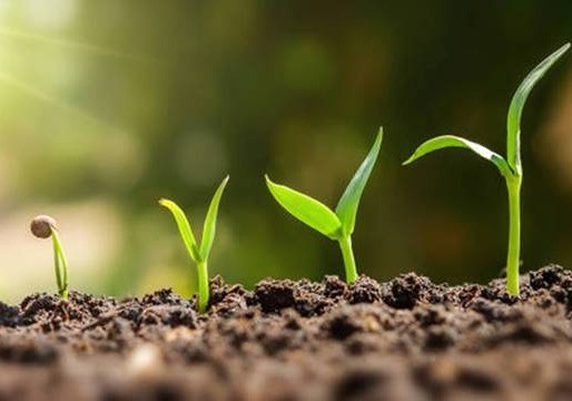Las empresas de nutrición vegetal de mayor renombre mundial se concentran en Infoagro Exhibition