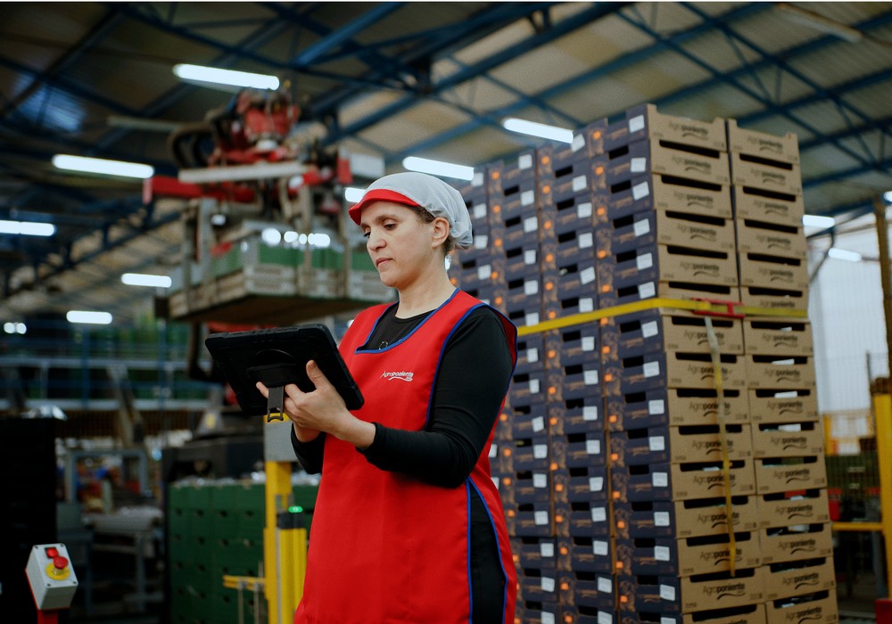Grupo Agroponiente implementa una nueva herramienta digital de trazabilidad que mejora la gestión de sus procesos internos