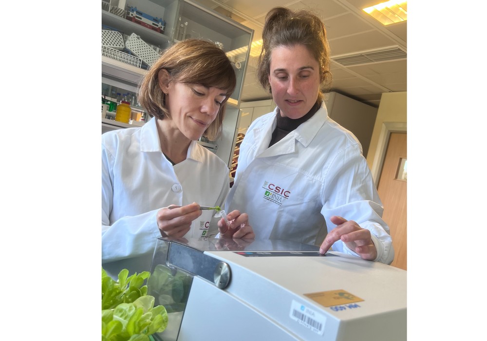 INIA-CSIC y ANOVE continúan avanzando en la investigación, el desarrollo y la innovación en sanidad en semillas