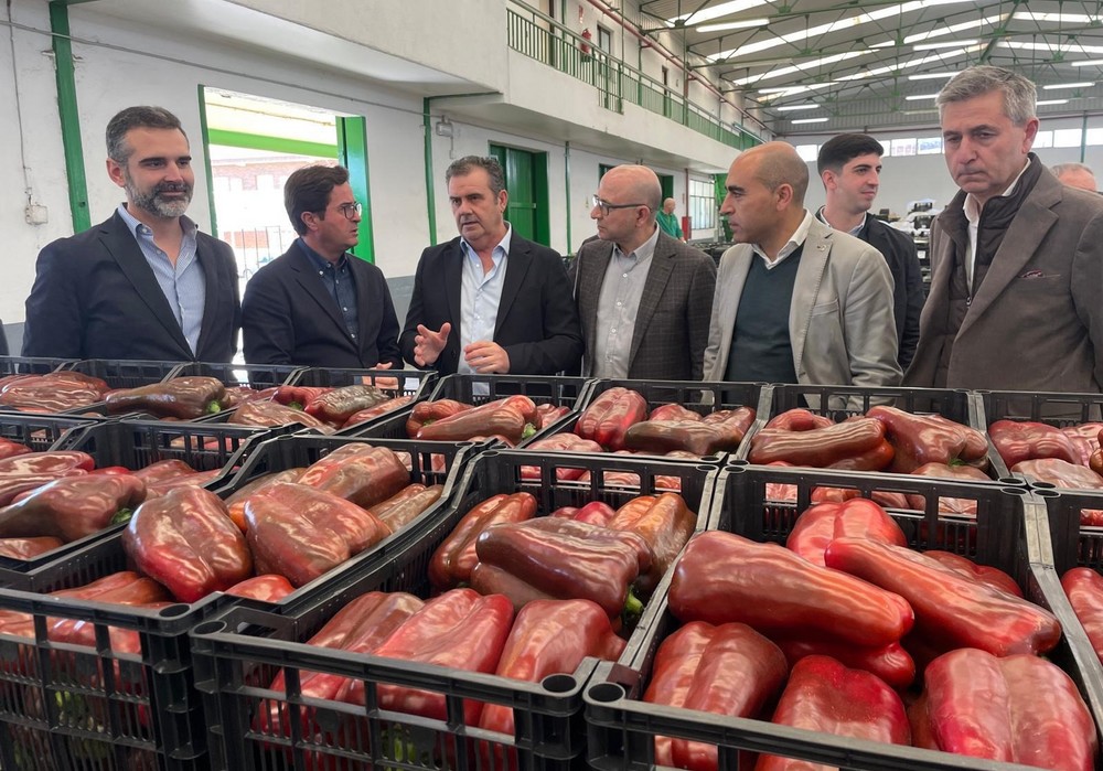 La Junta y comercializadores hortofrutícolas de Almería y Granada refuerzan su alianza por el futuro del sector