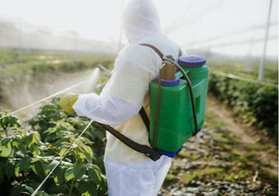Infoagro Exhibition atrae a las principales empresas de sanidad vegetal del panorama internacional