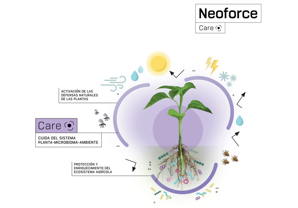 Neoforce® Defender, el biofungicida innovador de Fertiberia Tech