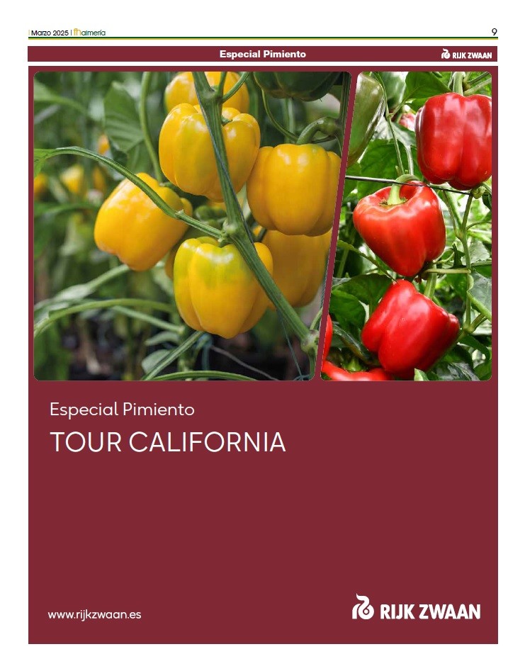 Tour California Rijk Zwaan