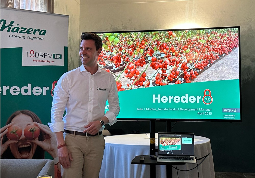Heredero, el pera de Hazera España que ha conquistado el campo con su resistencia a rugoso y gran productividad
