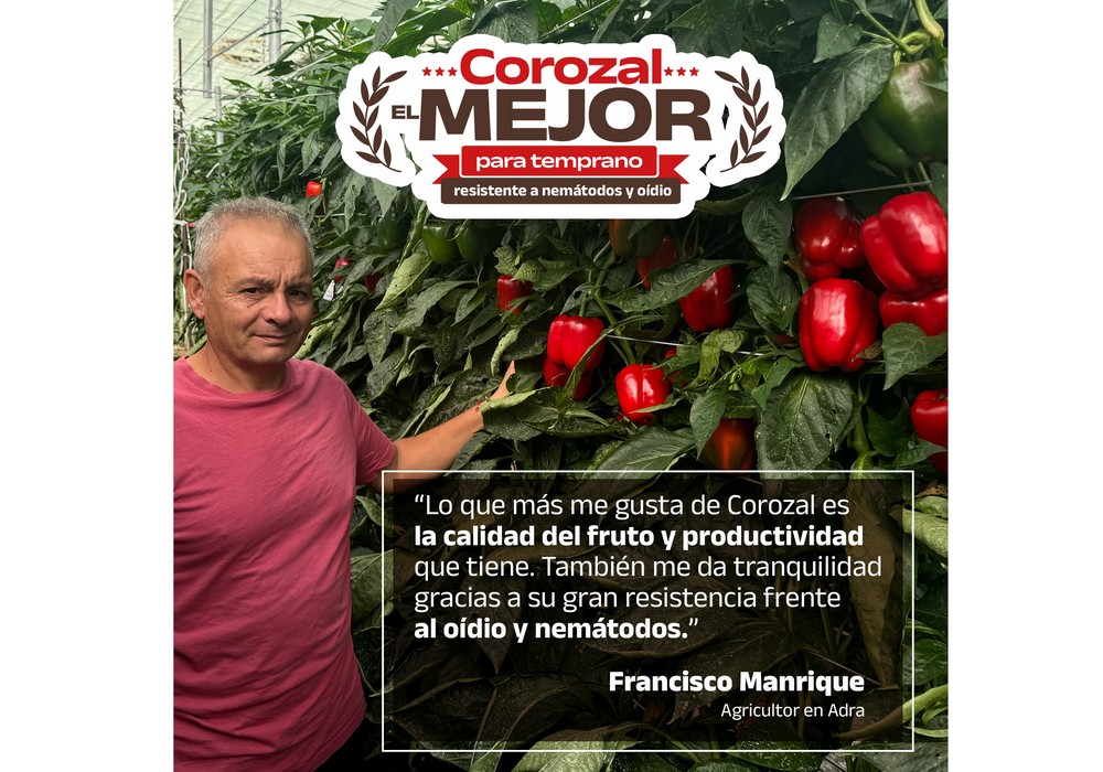 Con Corozal como ejemplo, Meridiem Seeds sigue apostando por la investigación y la innovación