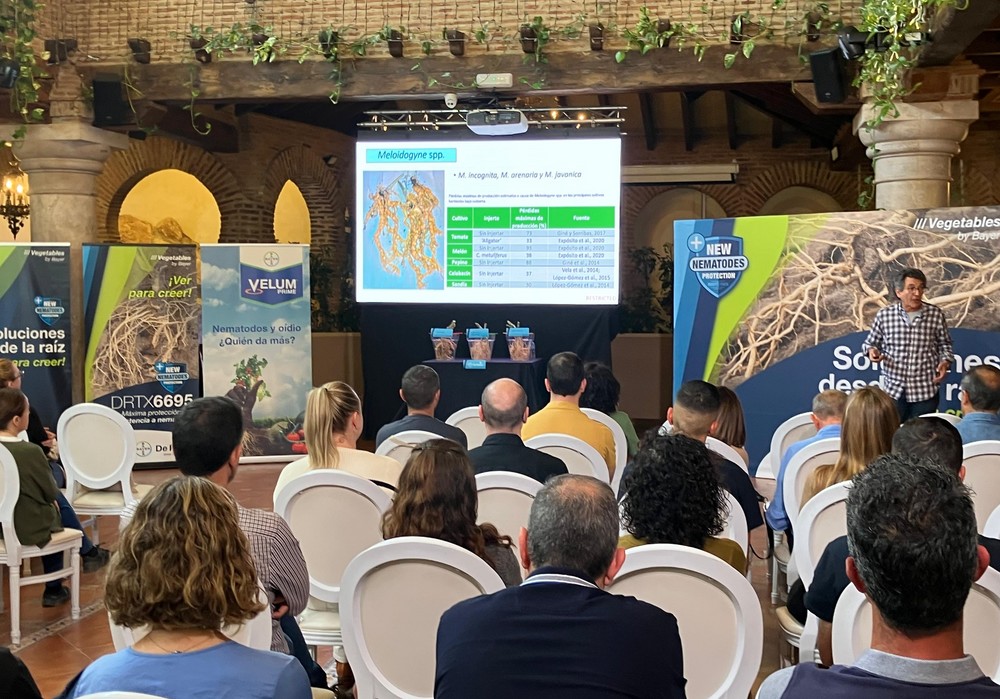 Bayer demuestra con datos y ciencia las cualidades del nuevo 'porta' DRTX6695 con resistencia a nemátodos