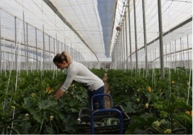 ASAJA alerta del impacto de una reducción de jornada pensada desde la ciudad
