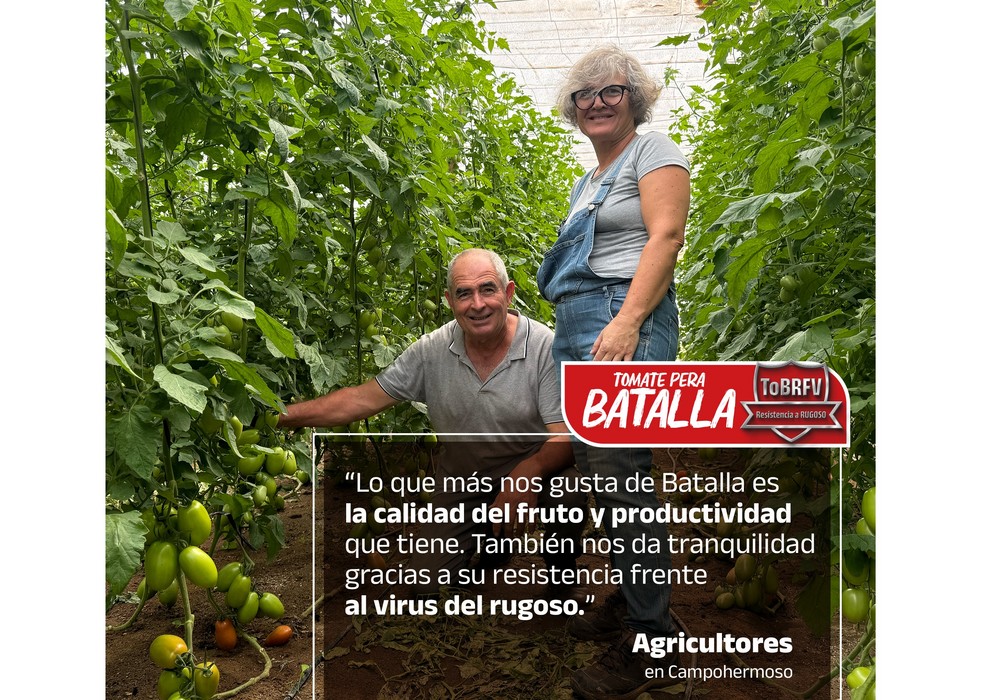 Batalla, un pera de gran calibre que demuestra su fuerza contra el rugoso