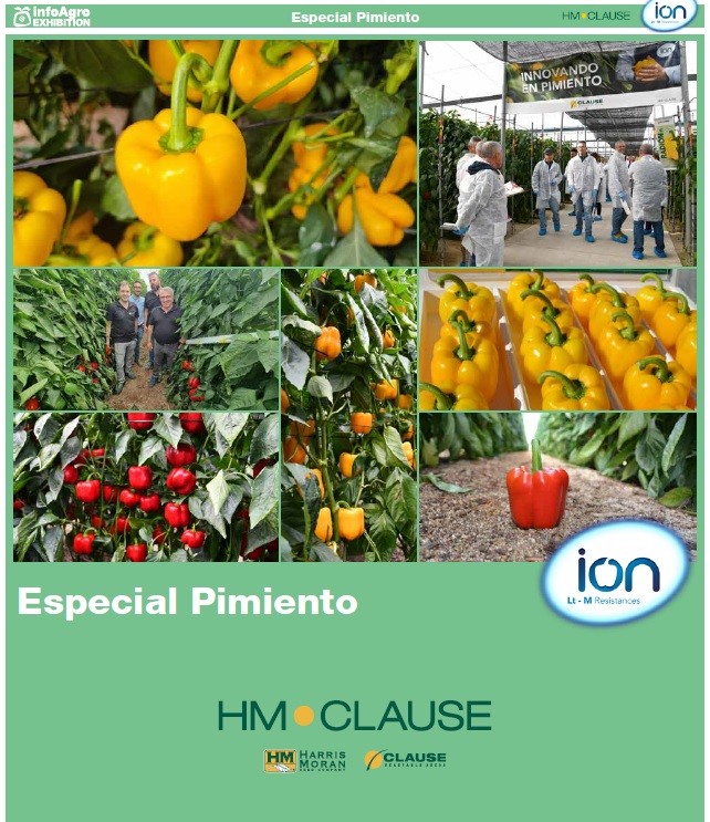 Pimientos HM.CLAUSE