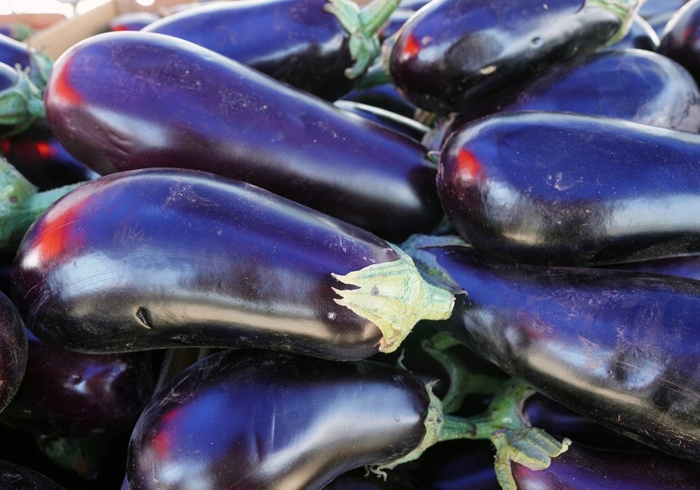 El tomate y la berenjena van al alza en la primera semana de julio