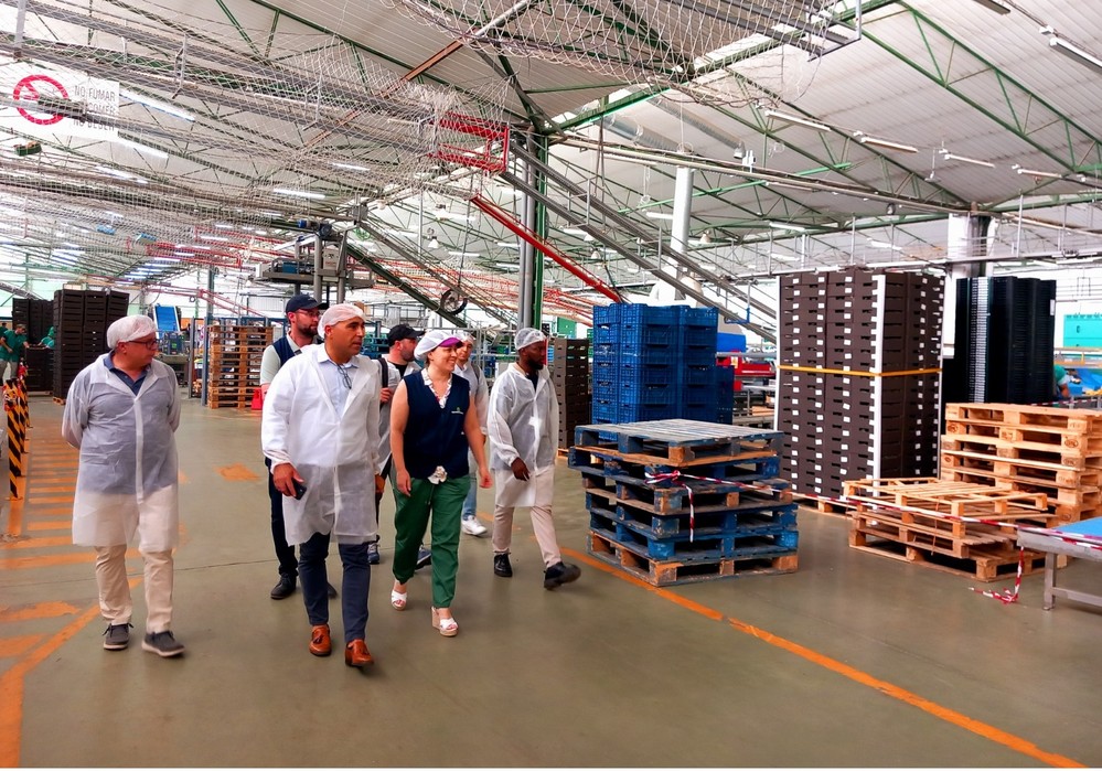 El delegado de Agricultura visita Ecoinver para ver el proyecto CUCUMDATA para la digitalización del empaquetado