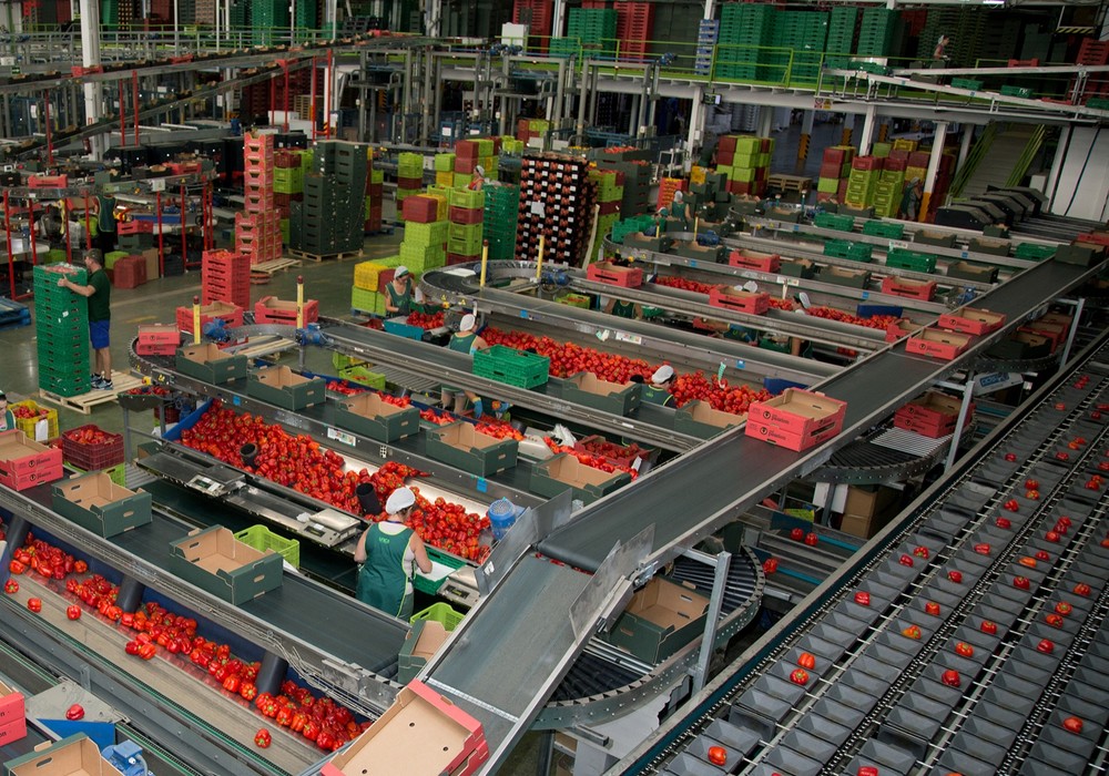 El volumen de la exportación de frutas y hortalizas frescas se mantienen durante el primer semestre de 2025 incrementando su valor