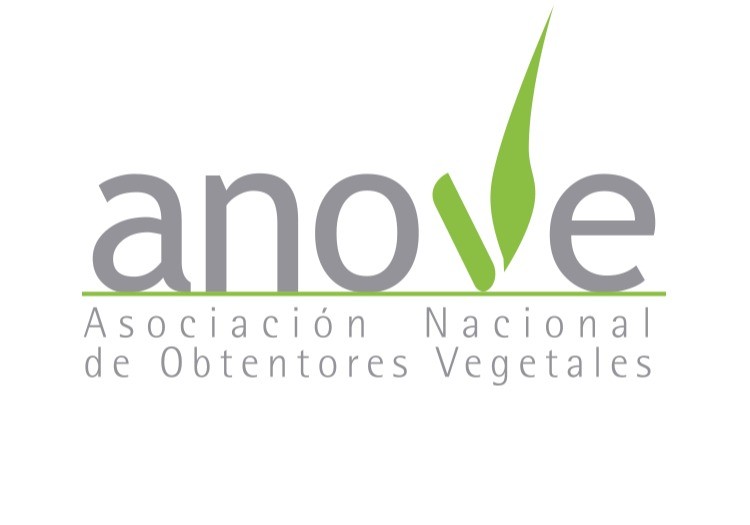 ANOVE lanza una campaña para promover el correcto uso de marcas, variedades y tipos en frutas y hortalizas