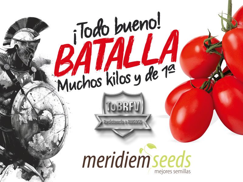 Publicidad