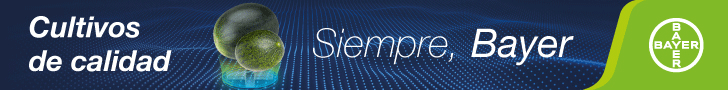 Publicidad