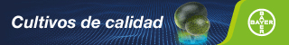 Publicidad