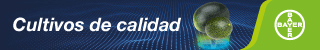 Publicidad